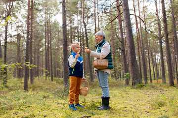 Image showing grandmother and grandson with mushrooms in forest