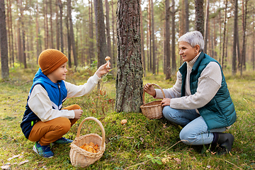 Image showing grandmother and grandson with mushrooms in forest