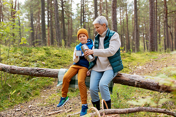 Image showing grandmother with grandson drinking tea in forest