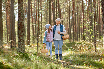 Image showing grandmother and granddaughter picking mushrooms