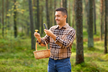 Image showing man using smartphone to identify mushroom