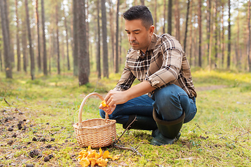 Image showing happy man with basket picking mushrooms in forest