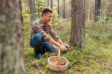 Image showing happy man with basket picking mushrooms in forest