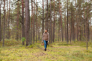 Image showing young woman picking mushrooms in autumn forest