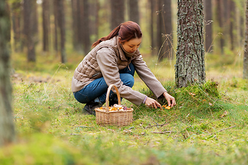 Image showing young woman picking mushrooms in autumn forest