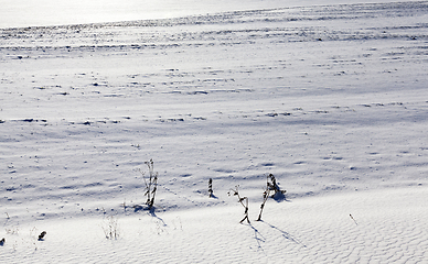 Image showing Snow after snowfall