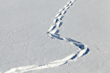 Image showing curve and zigzag, close-up