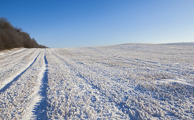 Image showing Snow drifts in winter