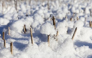 Image showing Snow drifts in winter
