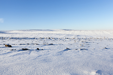 Image showing After snowfall