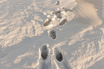 Image showing Snow after snowfall