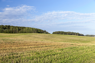 Image showing Field of the harvest