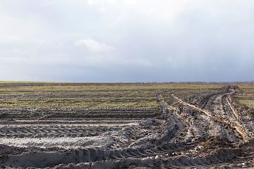 Image showing Car tracks in the field