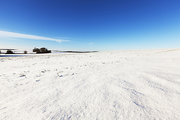 Image showing rural field covered with snow