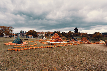 Image showing pyramid from Autumn harvested pumpkins