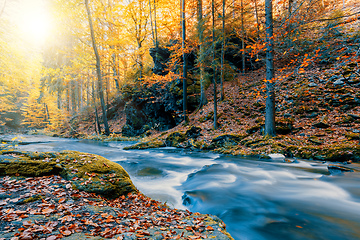 Image showing wild river Doubrava, autumn landscape