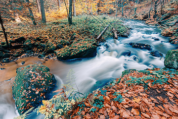 Image showing wild river Doubrava, autumn landscape