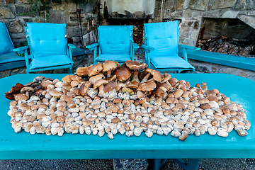 Image showing collected mushrooms boletus in pile