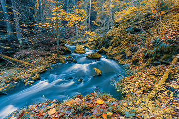 Image showing wild river Doubrava, autumn landscape