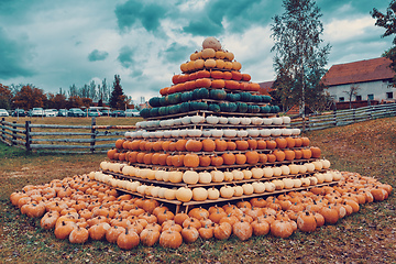 Image showing pyramid from Autumn harvested pumpkins