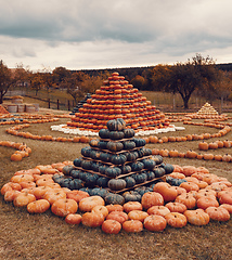 Image showing pyramid from Autumn harvested pumpkins