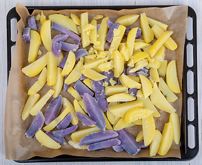 Image showing Raw sliced blue and yellow potatoes