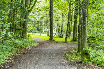 Image showing idyllic park scenery