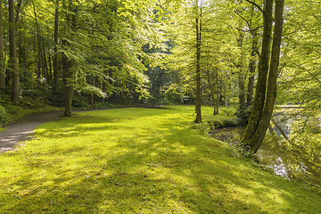 Image showing idyllic park scenery