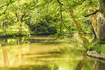 Image showing idyllic park scenery