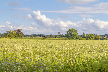 Image showing rural scenery in Hohenlohe