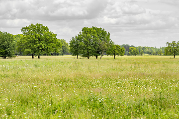 Image showing rural scenery in Hohenlohe