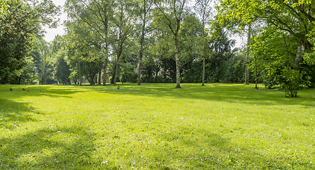 Image showing idyllic park scenery