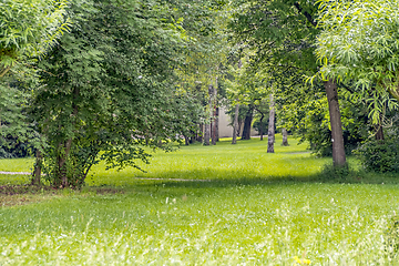 Image showing idyllic park scenery