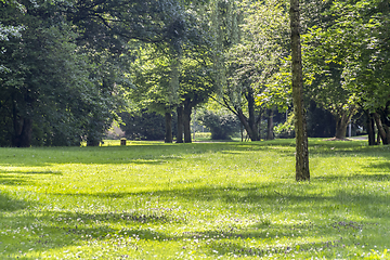 Image showing idyllic park scenery