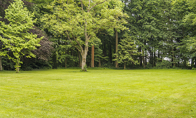 Image showing idyllic park scenery