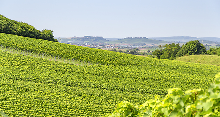 Image showing winegrowing scenery in Hohenlohe