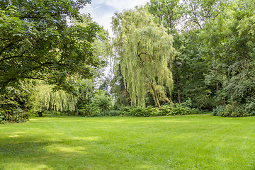 Image showing idyllic park scenery