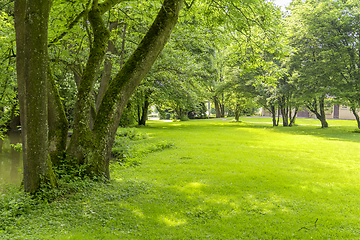 Image showing idyllic park scenery