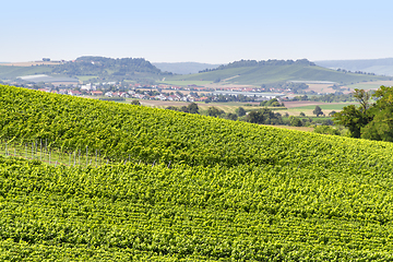 Image showing winegrowing scenery in Hohenlohe