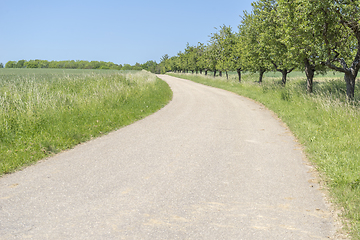 Image showing rural road scenery