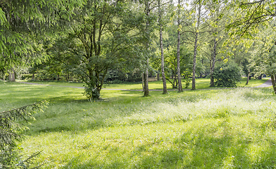 Image showing idyllic park scenery