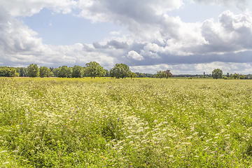 Image showing rural scenery in Hohenlohe