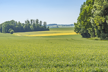 Image showing rural scenery in Hohenlohe