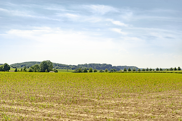 Image showing rural landscape at spring time