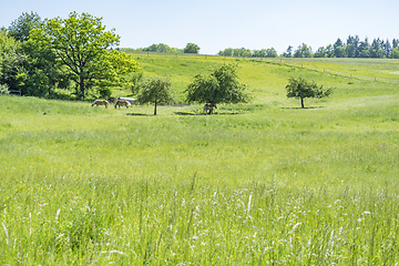 Image showing idyllic spring time scenery