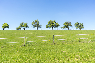 Image showing idyllic spring time scenery