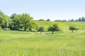 Image showing idyllic spring time scenery