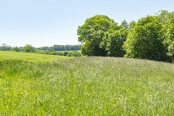 Image showing idyllic spring time scenery