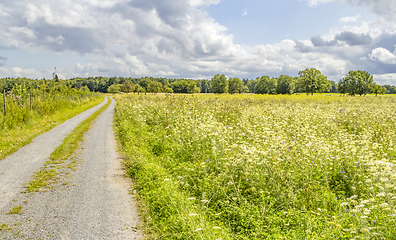 Image showing rural scenery in Hohenlohe