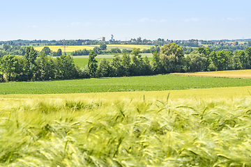 Image showing rural scenery in Hohenlohe